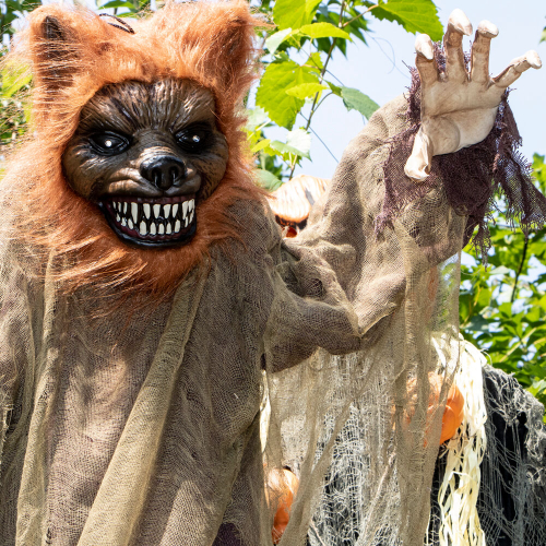 Haunted Hill Farm HHWOLF-3FLSA - 5